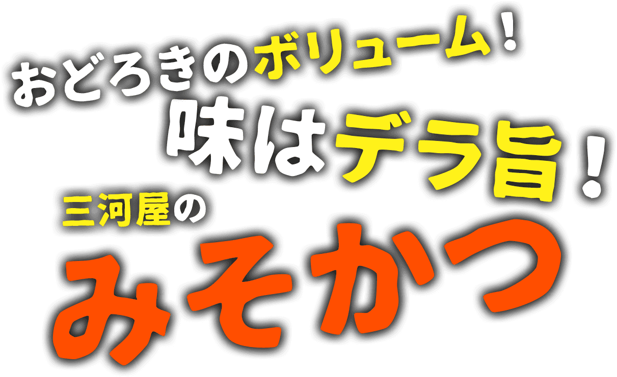 おどろきのボリューム！味はデラ旨！三河屋のみそかつ