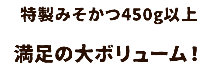 おどろきのボリューム！味はデラ旨！三河屋のみそかつ